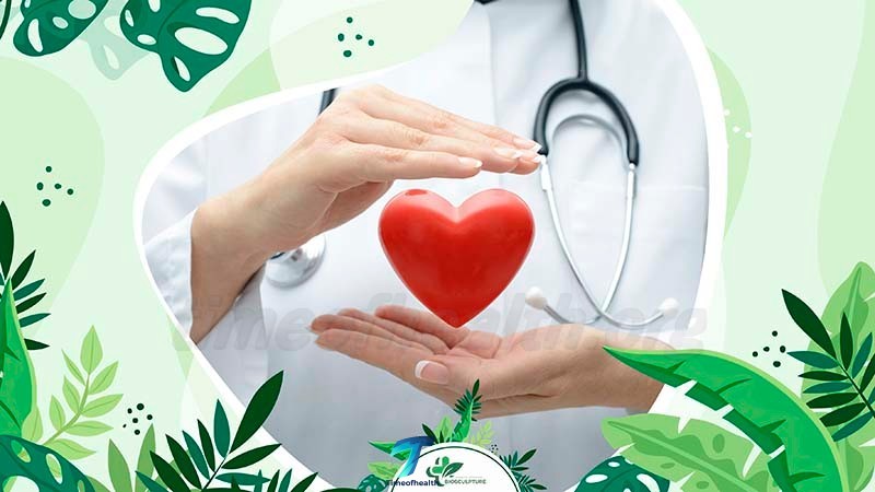 Cardiovascular Health Support